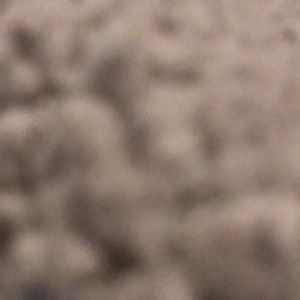 Meet your Posher, Nina